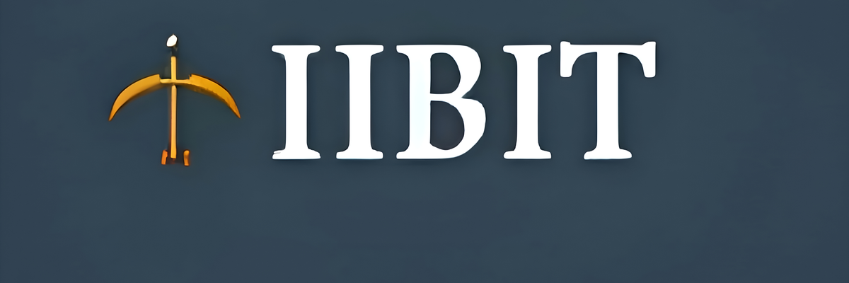 IIBIT FINTECH cover