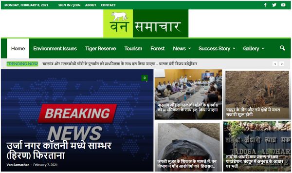 News Portal Website