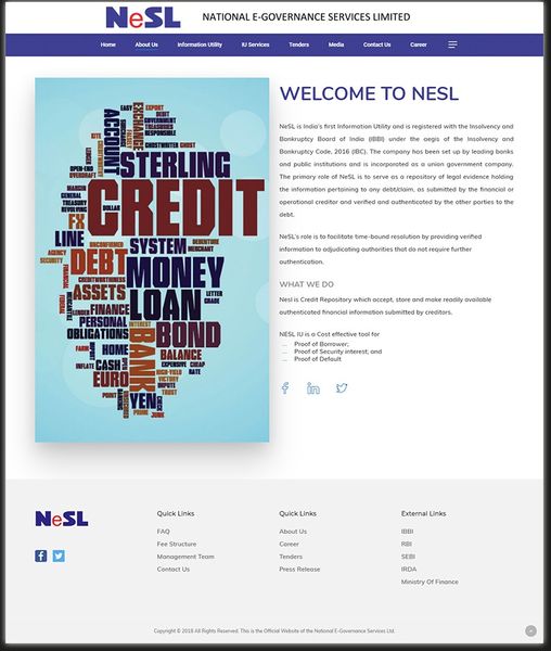 Website Design & Development for NeSL