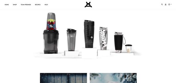 eCommerce Website For Promixx India