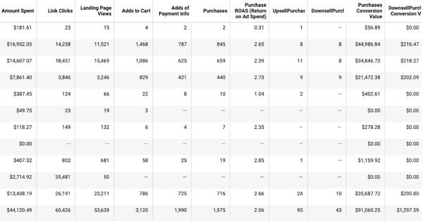 44X ROAS With Maximum Conversion Rate