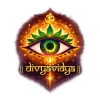 Divya Vidya institute of spiritual education and Astro science