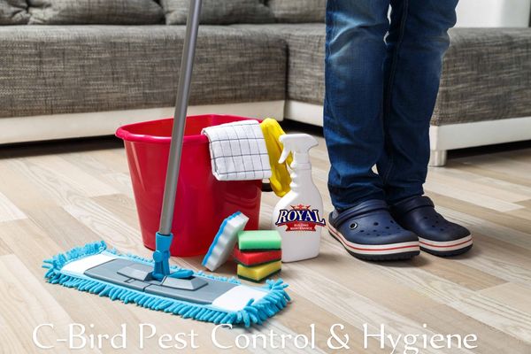 Cleaning, pest control and renovation