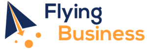 Fly In Business