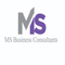 MS Business Consultants