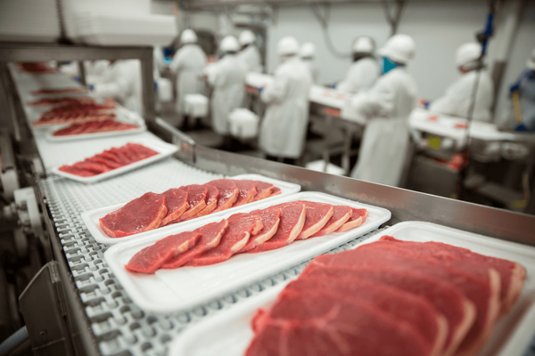 Places Where Harmful Bacteria Might Be Hiding In Your Food Processing Plant