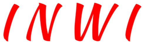 INWIZY GLOBAL VENTURES LLP cover