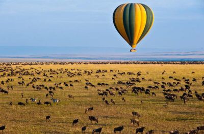 masai mara baloon safari