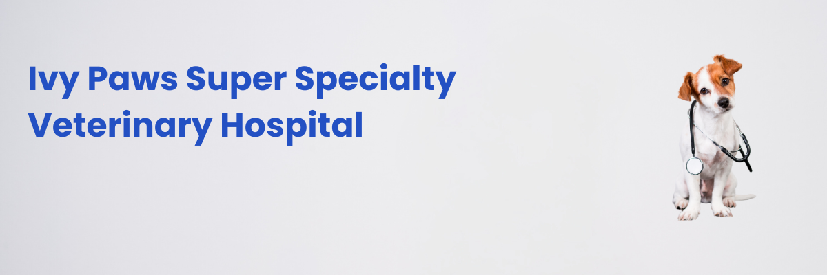 IVY PAWS SUPER SPECIALITY PET HOSPITAL cover