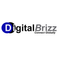 DigitalBrizz IT Services and Digital Marketing Company
