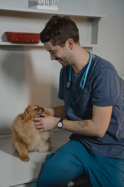 Pet Health Checkup