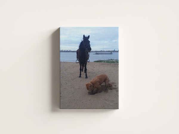 Sarah Brook's Horse Canvas Photos Frames