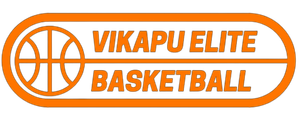 Vikapu Elite Basketball Academy