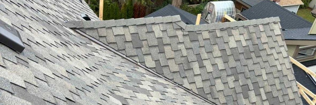 Anytime Roofing cover