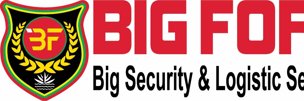 Big Security & Logistic Services Limited cover