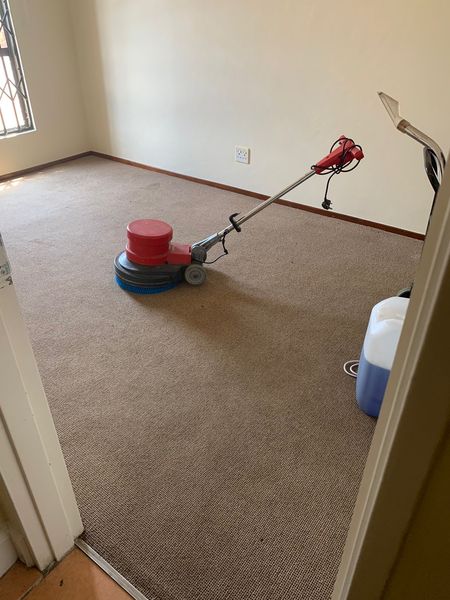 Room fitted carpet cleaning