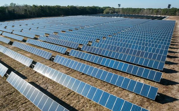 Commercial Solar Farm – EcoBiz Park