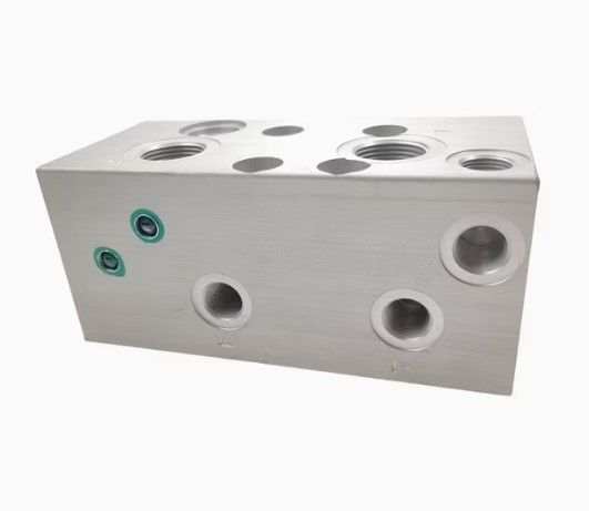 Manifold