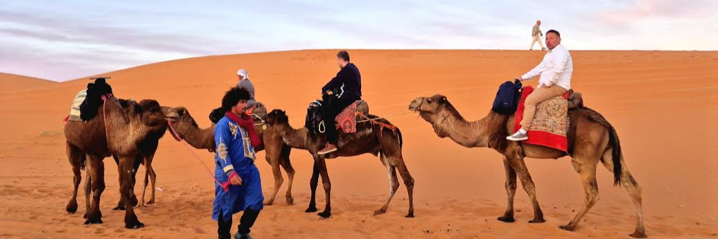 Sahara Desert Kingdom cover Sahara Desert Kingdom cover