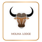 MOLMA LODGE (PTY) LTD