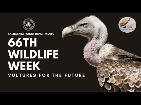 66th Wildlife Week Promo (Post Production) cover