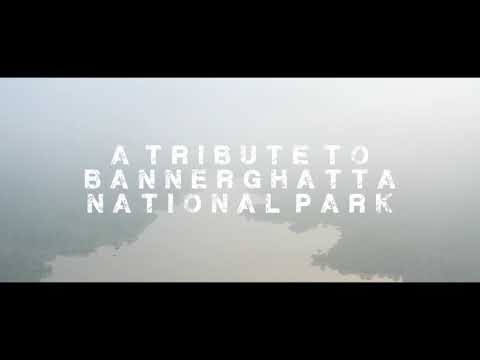 Tribute to Bannerghatta National Park cover