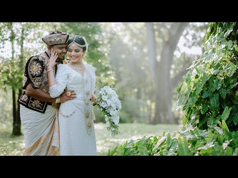 MOIRA WEDDING FILMS | Dilini & Chathura Wedding Highlights cover