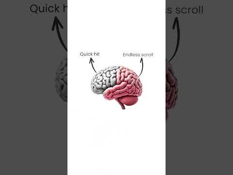 Motion Graphic Edit cover Motion Graphic Edit cover