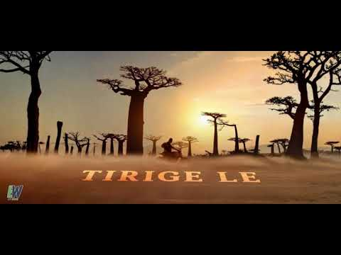 Globetrotter Sanchari Fan Made Lyrical Video Song cover